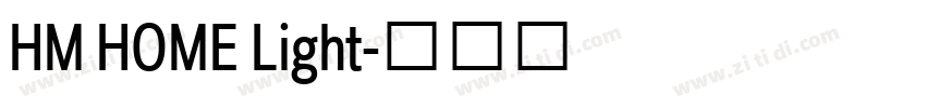 HM HOME Light字体转换